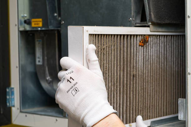 Best Air Duct Mold Removal  in Belfair, WA