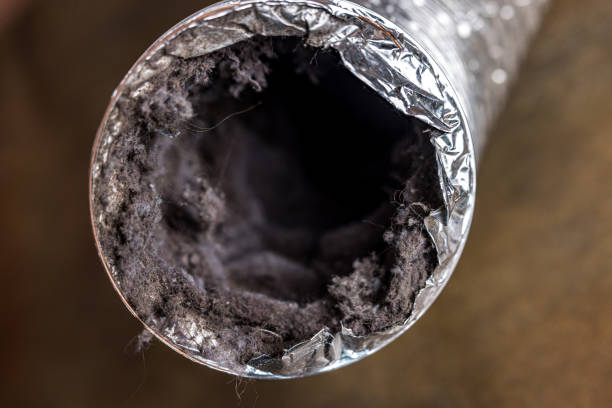 Best Air Duct Cleaning Company Near Me  in Belfair, WA